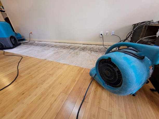 Professional Structural Drying technician working in Yarmouth, ME